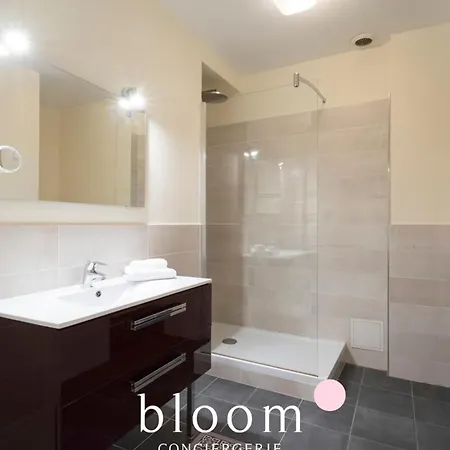 Le Prestige Stanislas 65m2 équipé Nancy