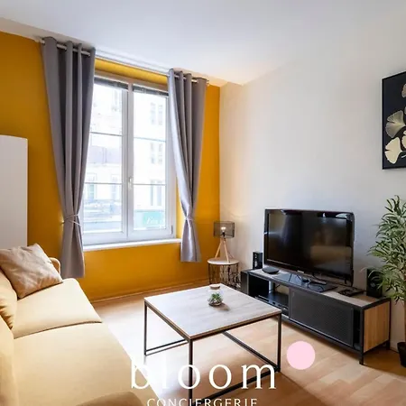 Appartement Le Prestige Stanislas 65m2 équipé