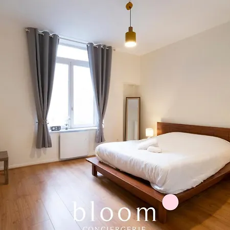 Le Prestige Stanislas 65m2 Equipe * Nancy