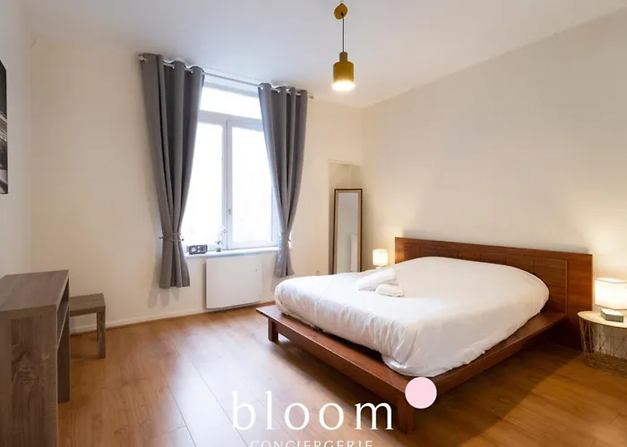 Le Prestige Stanislas 65m2 Equipe * Нанси